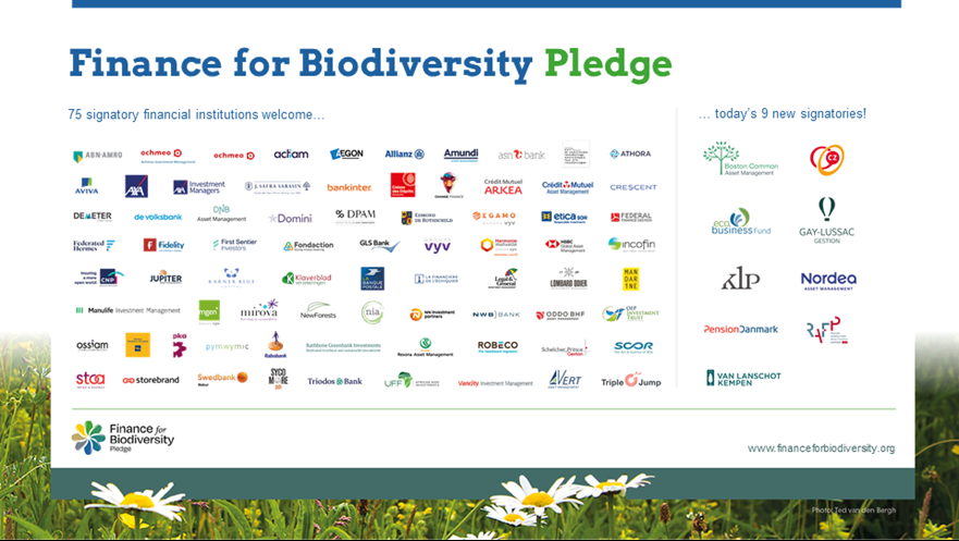 Van Lanschot Kempen tekent Finance for Biodiversity Pledge